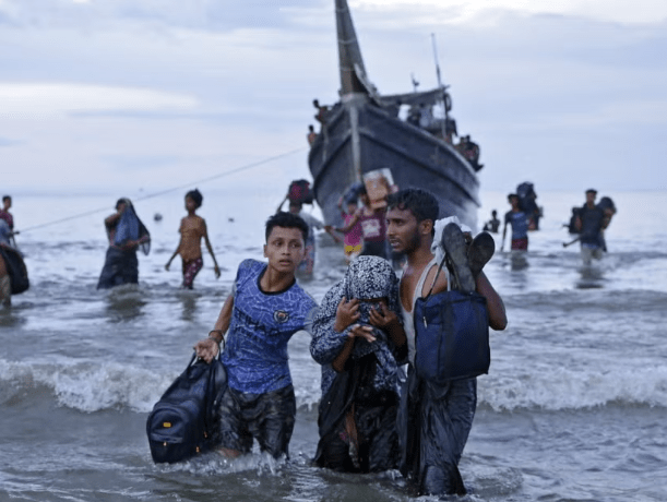 Rohingya